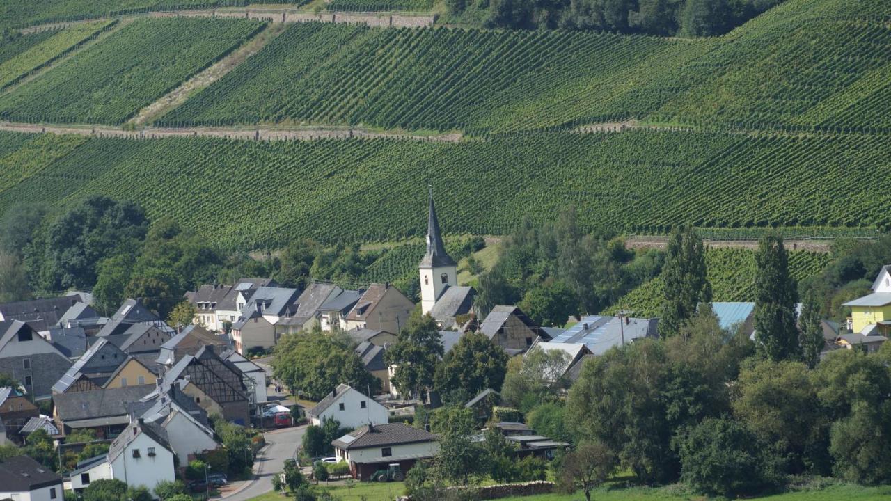 Altes Winzerhaus - Ferienhaus Burgen  Luaran gambar